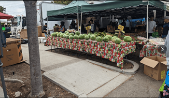 Mountain view farmers' market